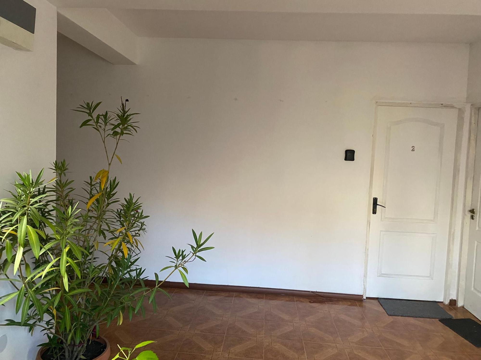 Steve Rooms ヤシ 部屋 写真