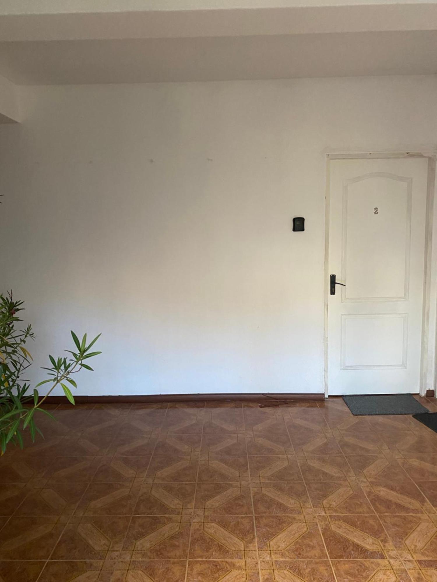 Steve Rooms ヤシ 部屋 写真